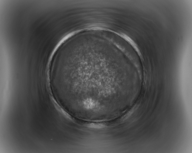 X0000085271384200703301845