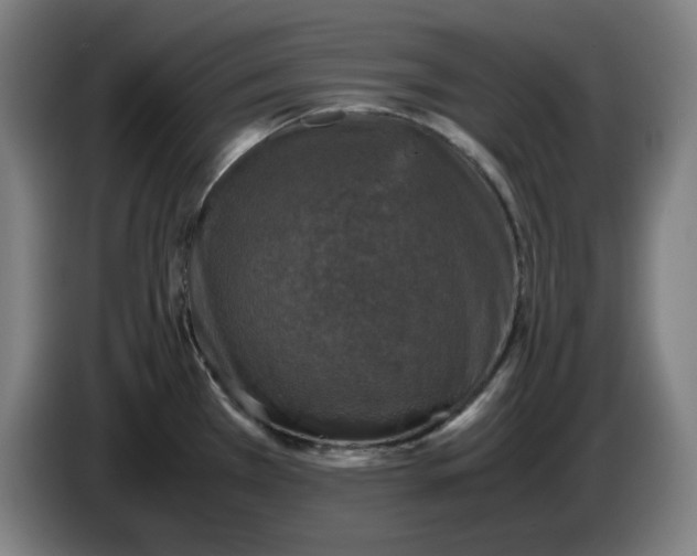 X0000085271385200703301845