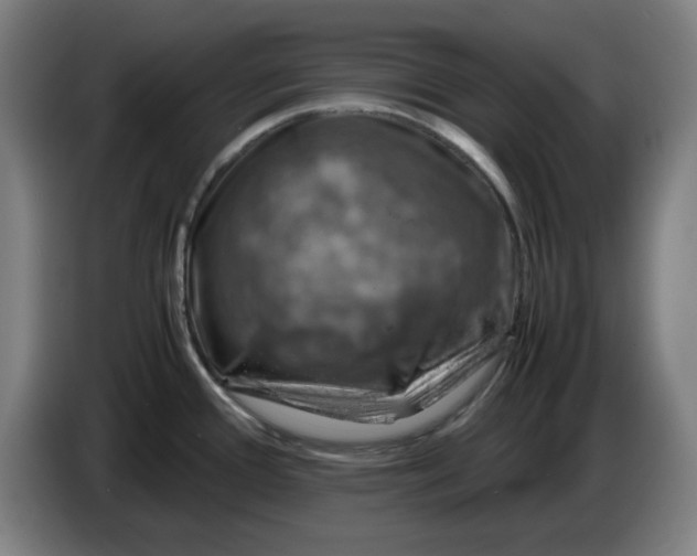 X0000085271388200703301845