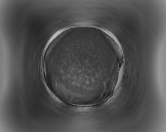 X0000085271389200703301845