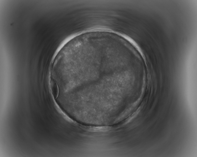 X0000085271390200703301845