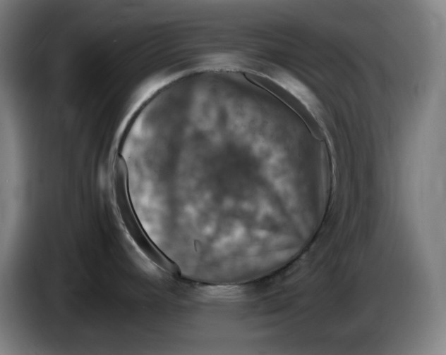 X0000085271392200703301845