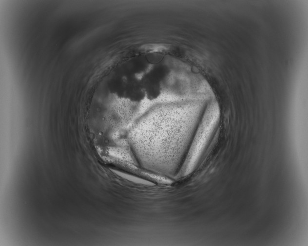 X0000085271393200703301844