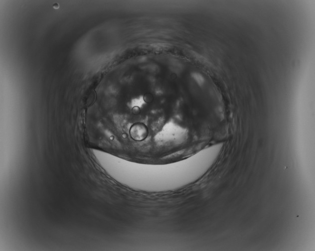 X0000085271397200703301844