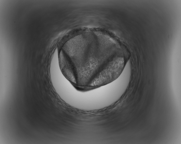 X0000085271398200703301844