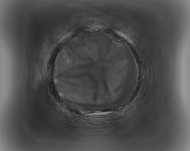 X0000085271399200703301844