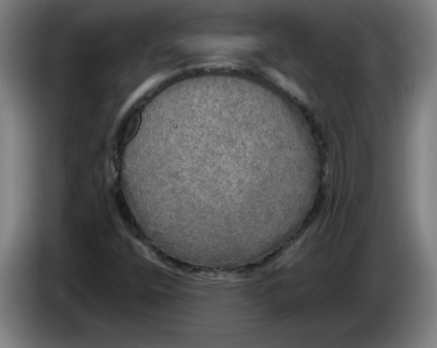 X0000085271400200703301844