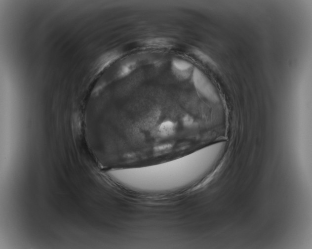 X0000085271401200703301844