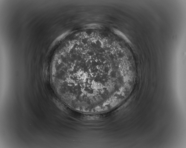 X0000085271403200703301844