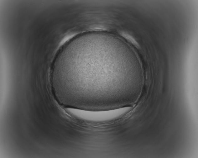 X0000085271404200703301844