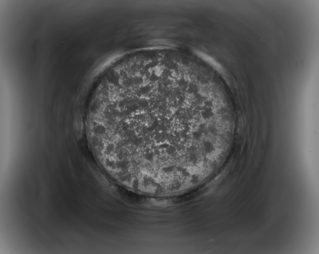 X0000085271407200703301844