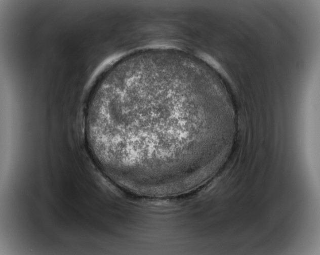 X0000085271408200703301844