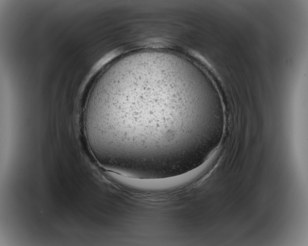 X0000085271410200703301844