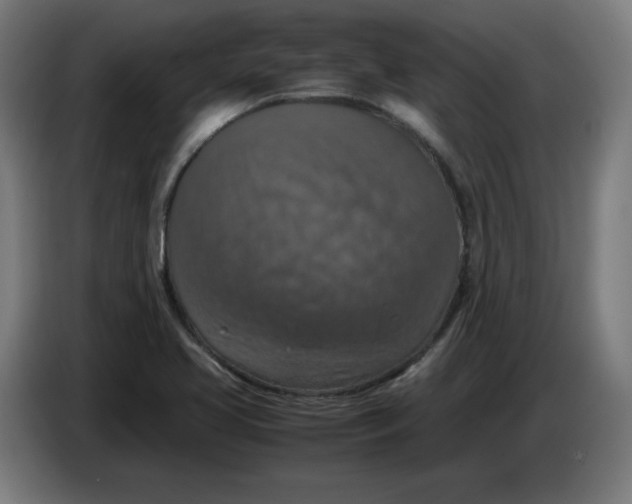 X0000085271413200703301844