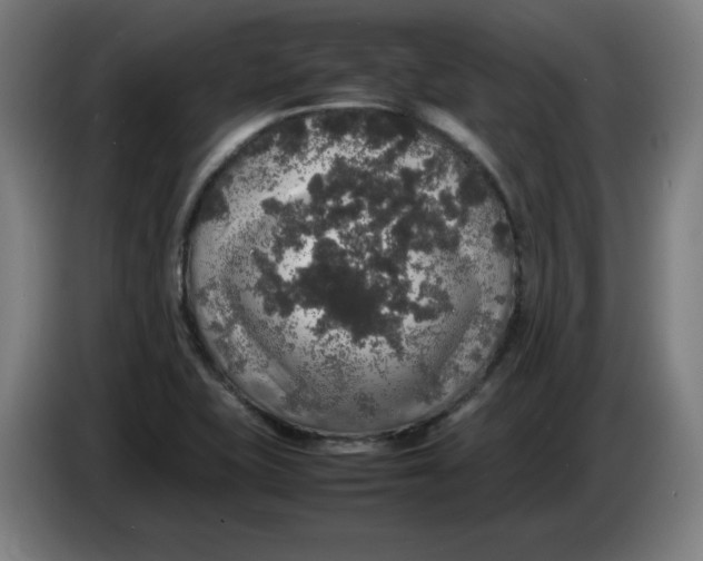 X0000085271415200703301844