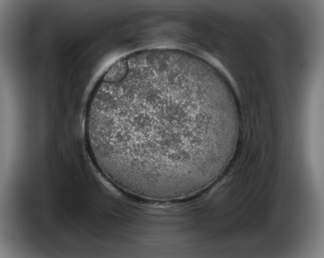 X0000085271416200703301844