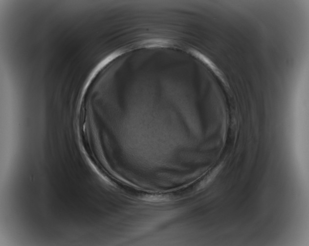 X0000085271418200703301844