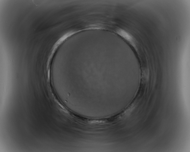 X0000085271419200703301844