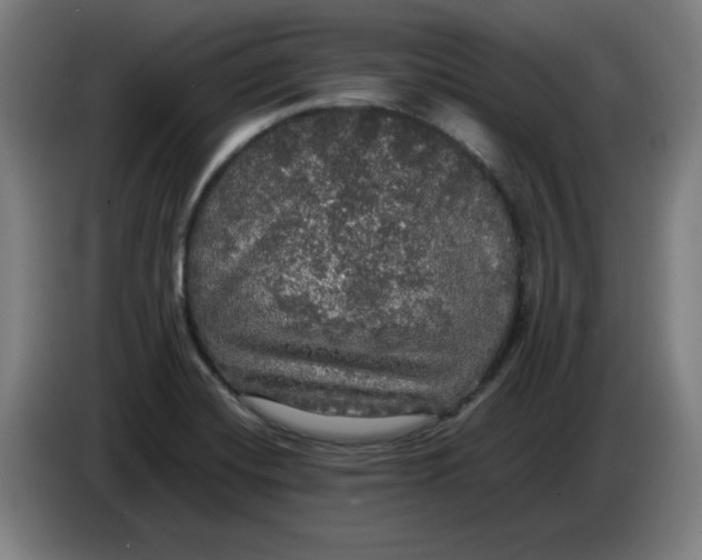 X0000085271420200703301844