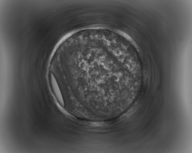 X0000085271421200703301844