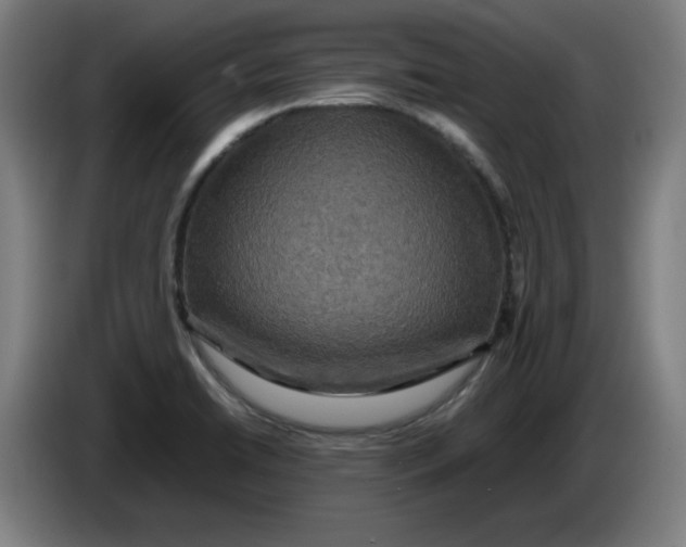 X0000085271422200703301844