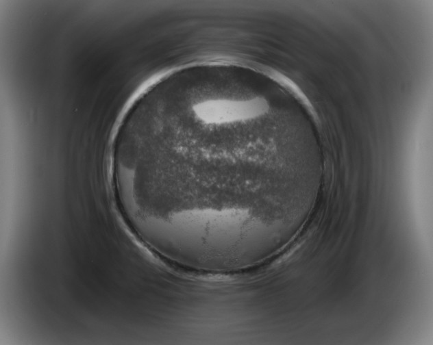 X0000085271424200703301844