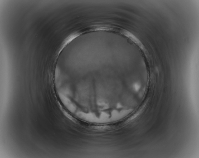 X0000085271425200703301844