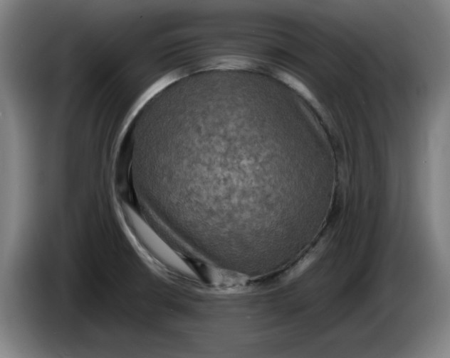 X0000085271426200703301844