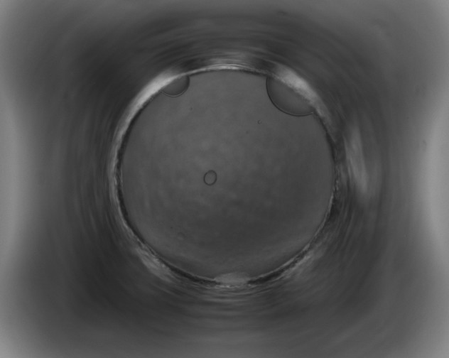 X0000085271427200703301844