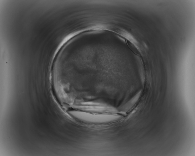 X0000085271428200703301844