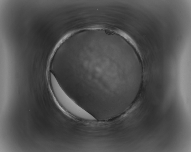 X0000085271429200703301845