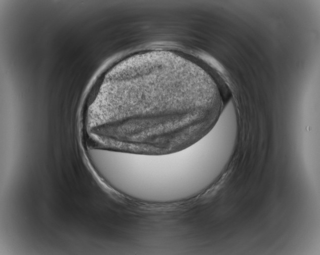 X0000085271430200703301845