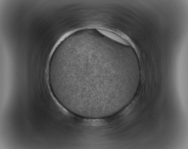 X0000085271432200703301845