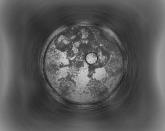 X0000085271435200703301845