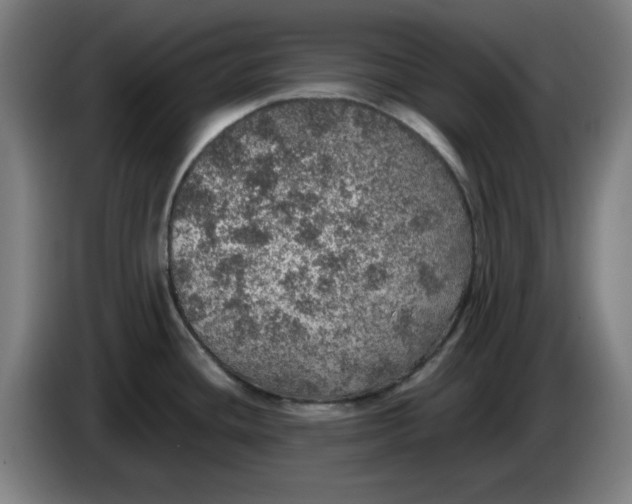 X0000085271436200703301845