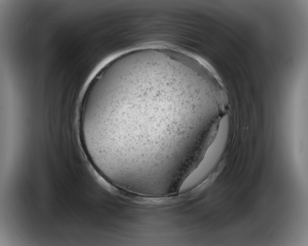 X0000085271438200703301845