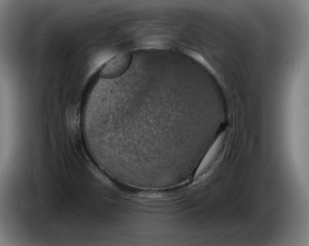 X0000085271450200703301844