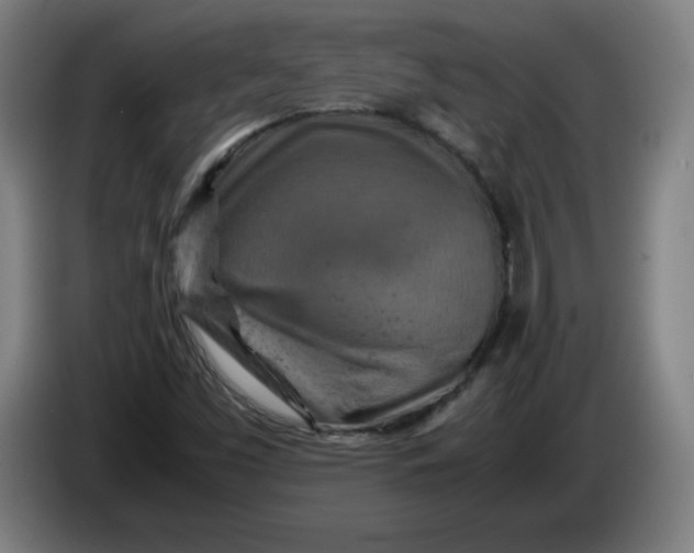 X0000085271453200703301844