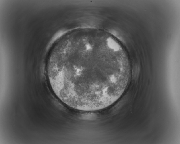 X0000085271454200703301844