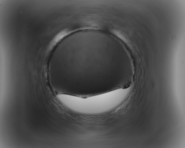 X0000085271455200703301844