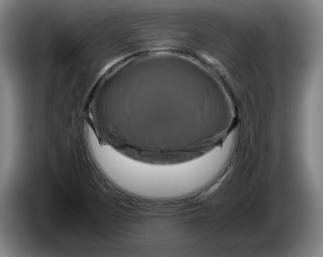 X0000085271457200703301844