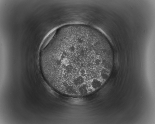 X0000085271460200703301844