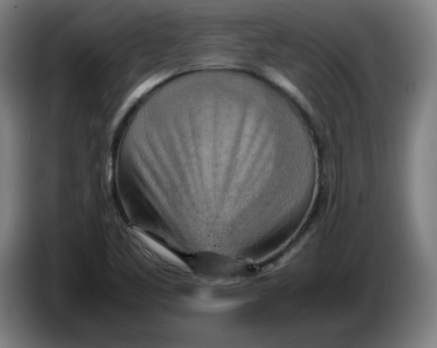 X0000085271461200703301844