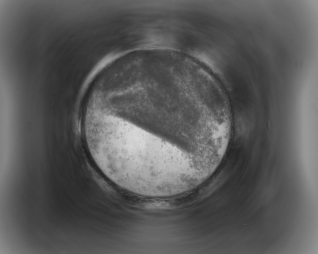 X0000085271462200703301844