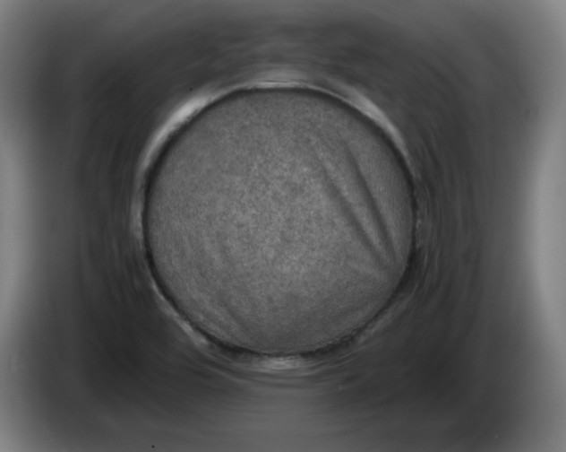 X0000085271464200703301844