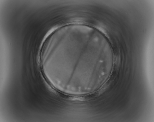 X0000085271466200703301844