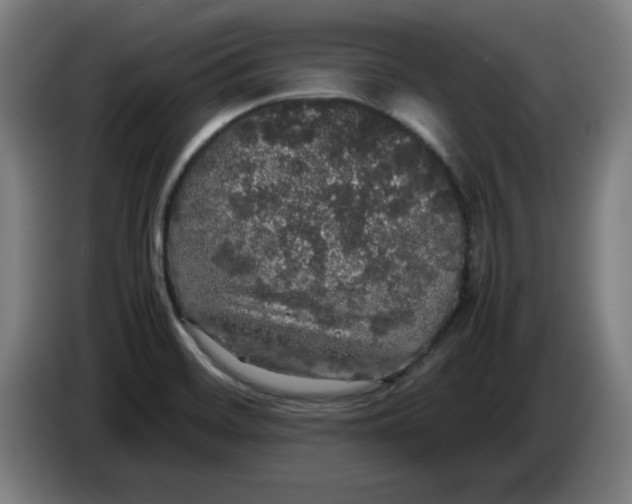 X0000085271468200703301844