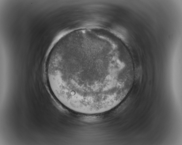 X0000085271470200703301844