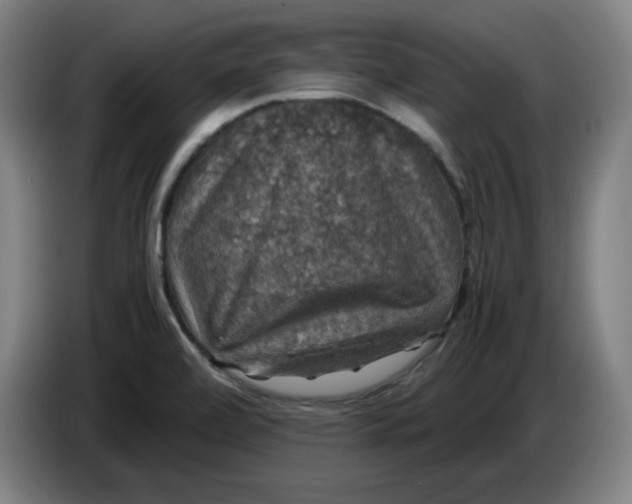 X0000085271472200703301844