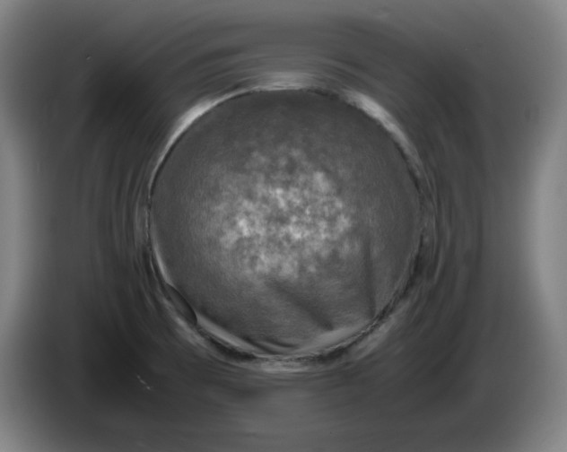 X0000085271473200703301844